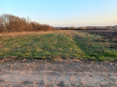 Teren extravilan industrial | 7.826 mp | 2 fronturi stradale | Ghiroda imagine mica 2, foxfort.ro