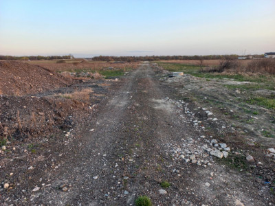 Teren extravilan industrial | 7.826 mp | 2 fronturi stradale | Ghiroda imagine mica 3, foxfort.ro