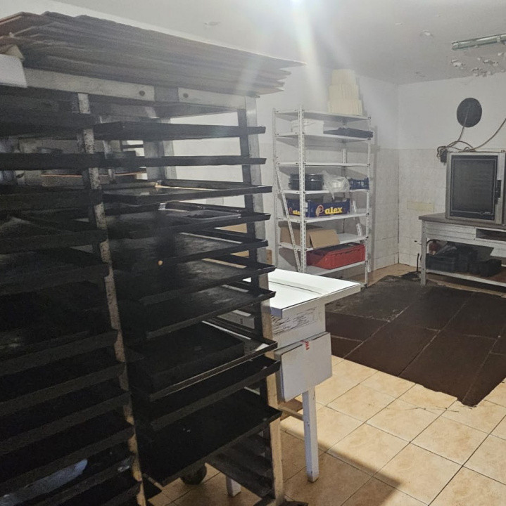 Oportunitate investitionala rara | Locatie ultracentrala | Mehala 9, foxfort.ro