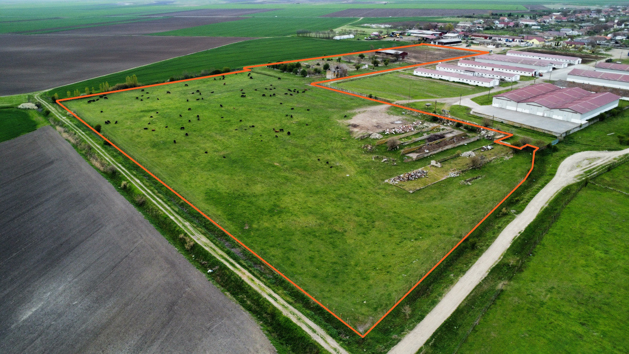 Teren intravilan cu suprafata de 58.340 mp, in Sanmartinul Sarbesc 2, foxfort.ro