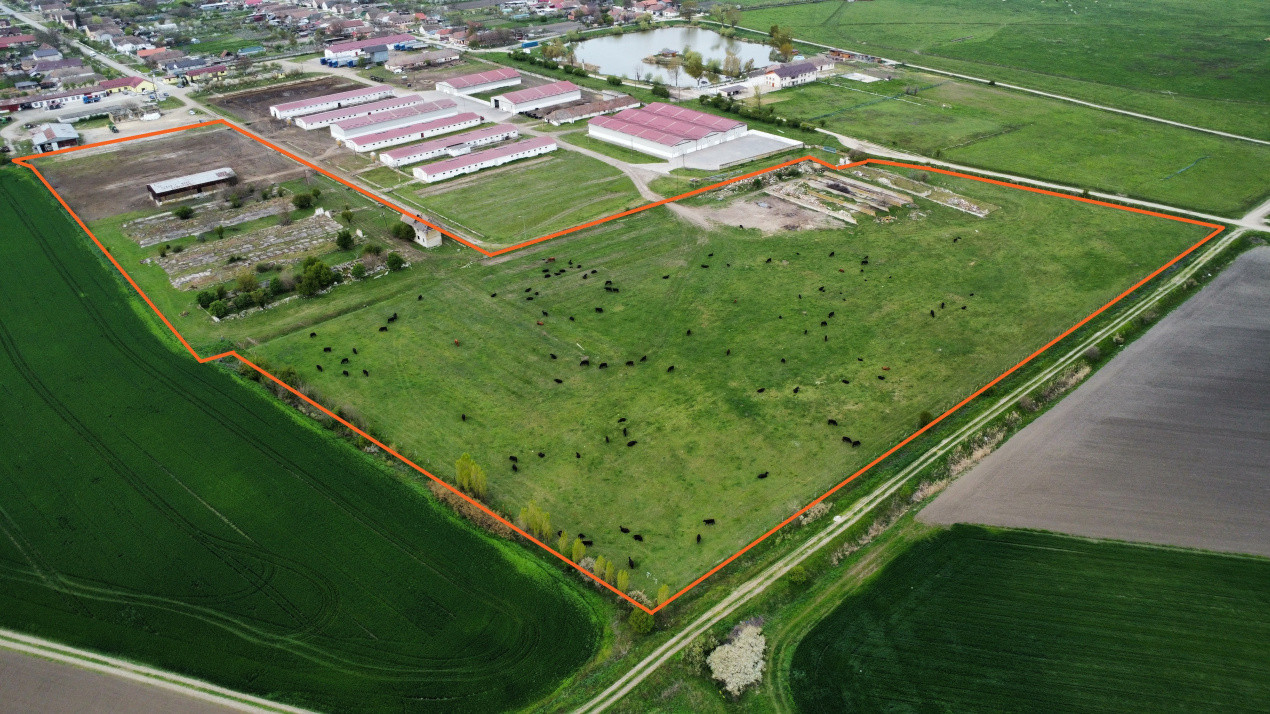 Teren intravilan cu suprafata de 58.340 mp, in Sanmartinul Sarbesc 4, foxfort.ro