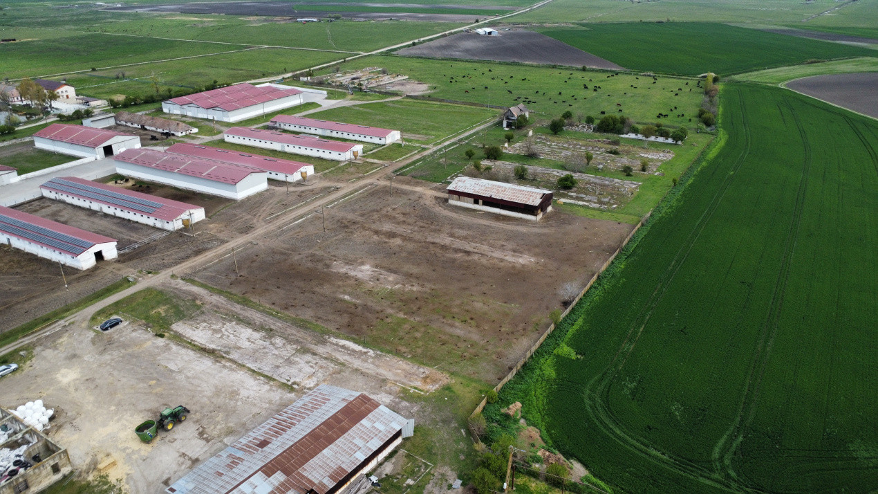 Teren intravilan cu suprafata de 58.340 mp, in Sanmartinul Sarbesc 8, foxfort.ro