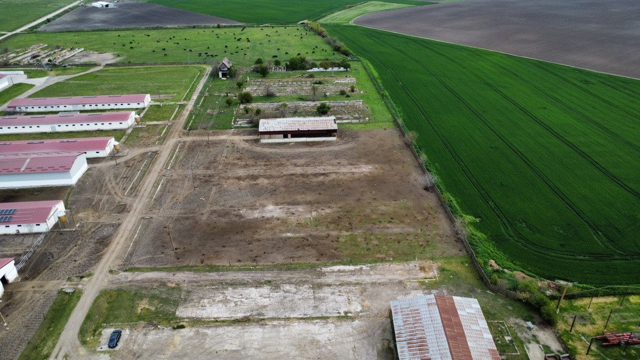 Teren intravilan cu suprafata de 58.340 mp, in Sanmartinul Sarbesc 9, foxfort.ro