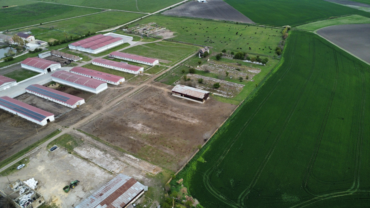 Teren intravilan cu suprafata de 58.340 mp, in Sanmartinul Sarbesc 10, foxfort.ro