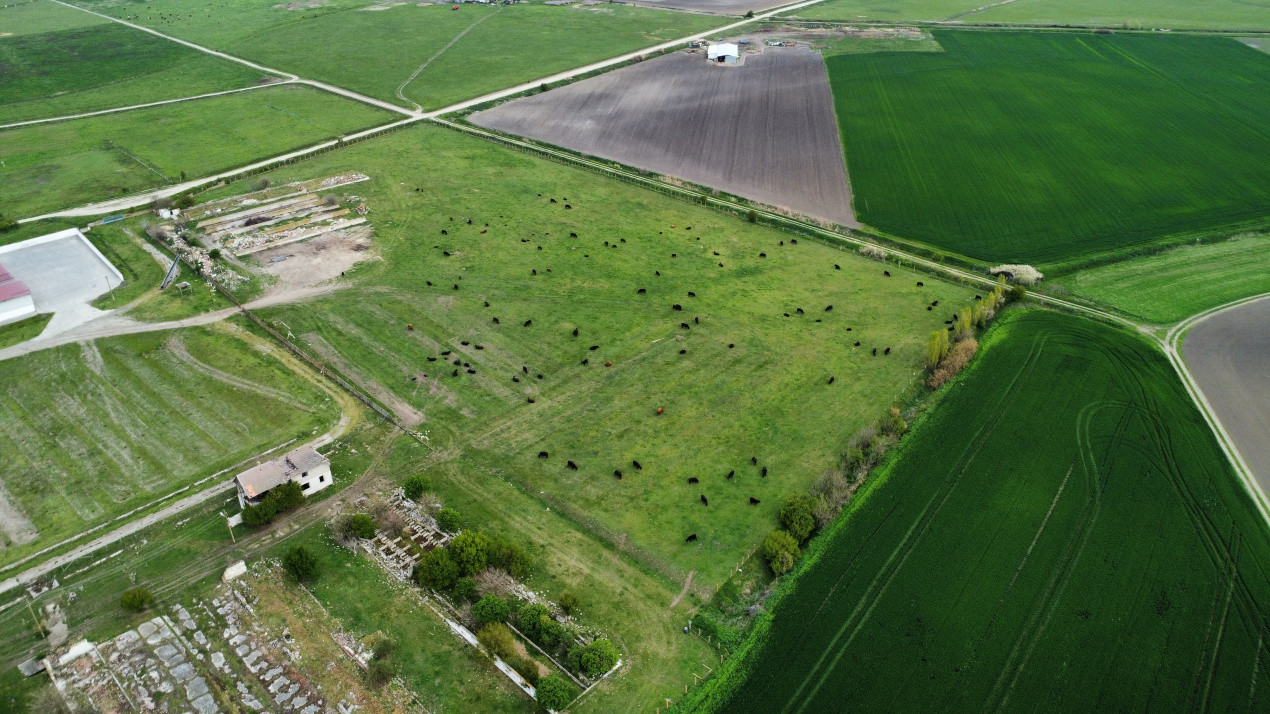 Teren intravilan cu suprafata de 58.340 mp, in Sanmartinul Sarbesc 11, foxfort.ro