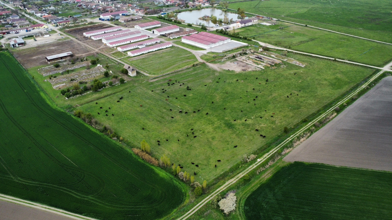 Teren intravilan cu suprafata de 58.340 mp, in Sanmartinul Sarbesc 13, foxfort.ro