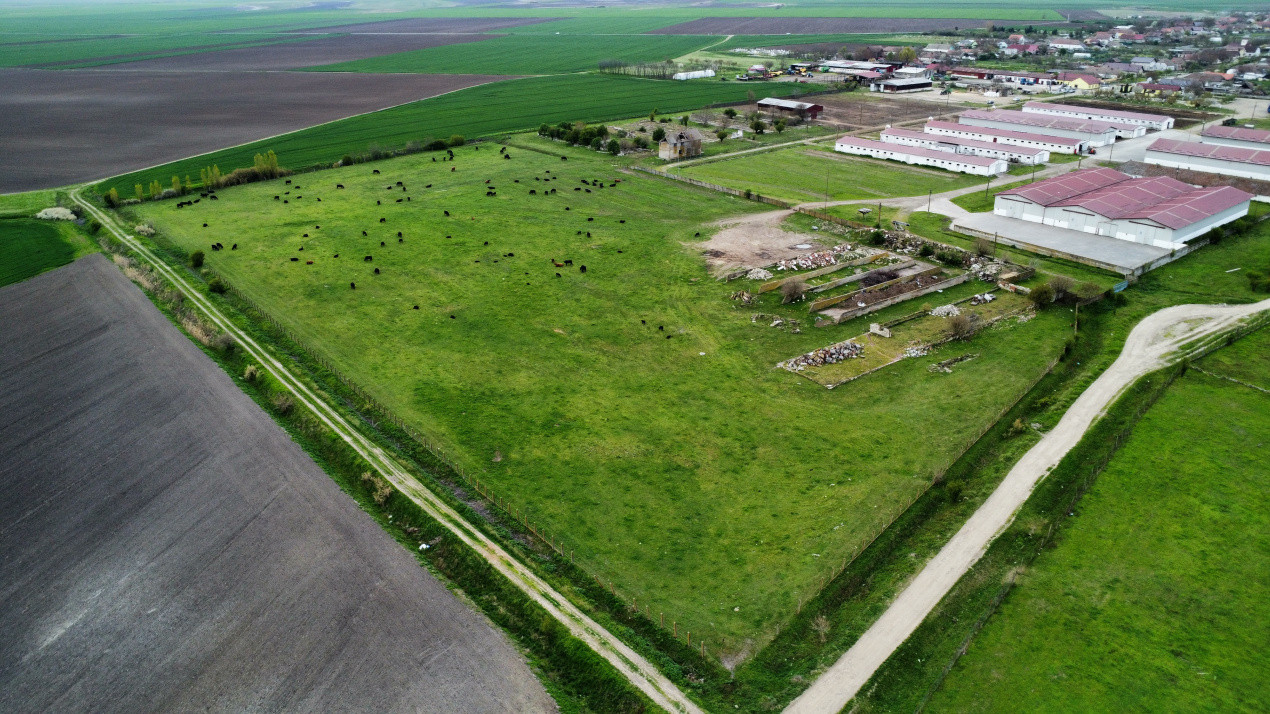 Teren intravilan cu suprafata de 58.340 mp, in Sanmartinul Sarbesc 17, foxfort.ro