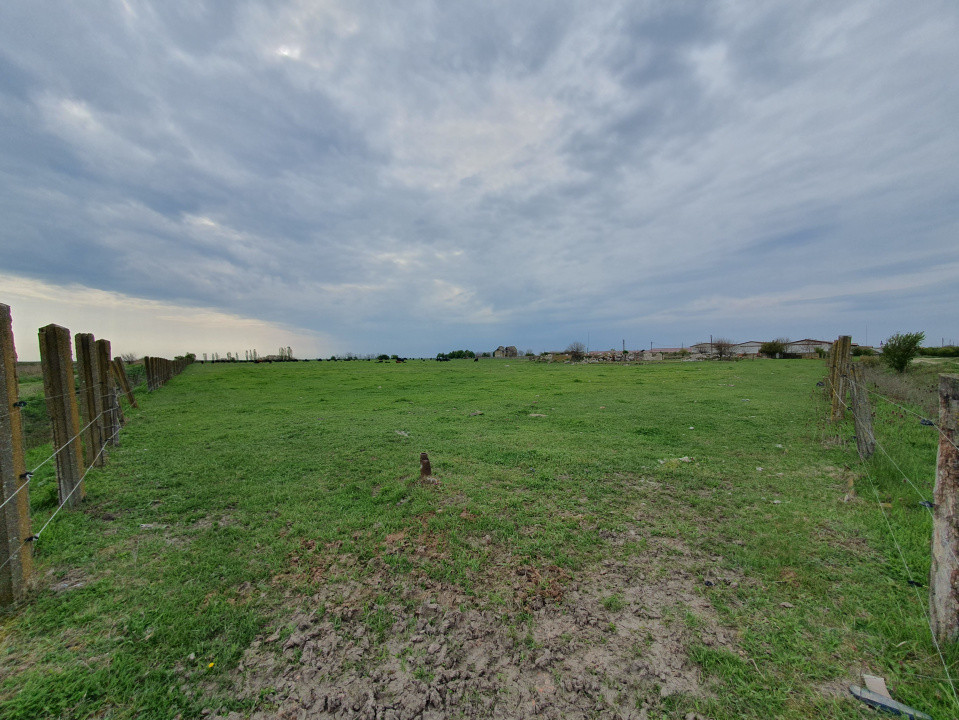 Teren intravilan cu suprafata de 58.340 mp, in Sanmartinul Sarbesc 23, foxfort.ro