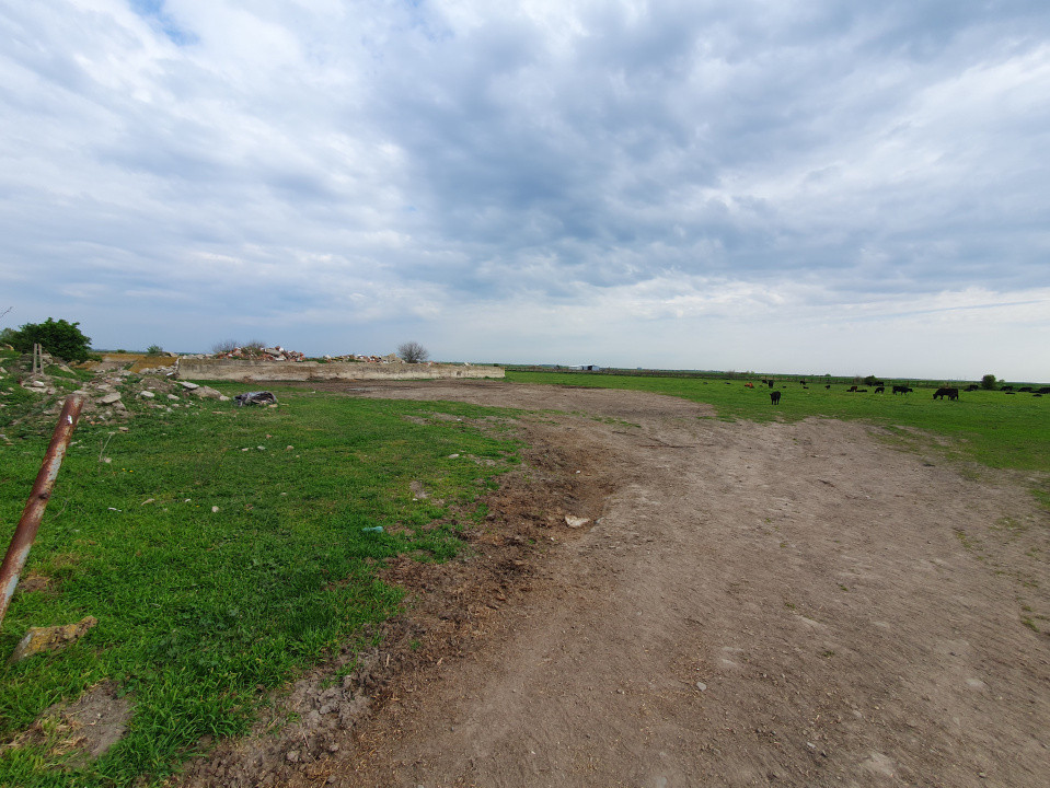 Teren intravilan cu suprafata de 58.340 mp, in Sanmartinul Sarbesc 24, foxfort.ro