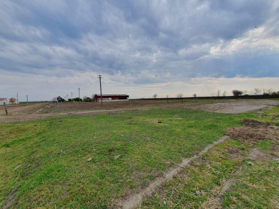 Teren intravilan cu suprafata de 58.340 mp, in Sanmartinul Sarbesc 25, foxfort.ro