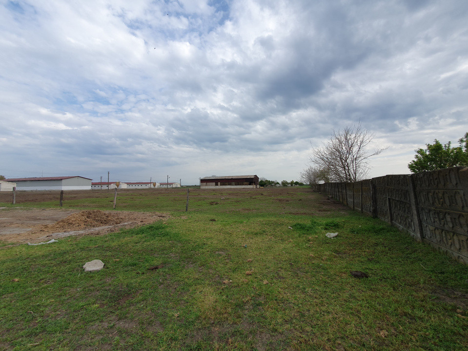 Teren intravilan cu suprafata de 58.340 mp, in Sanmartinul Sarbesc 26, foxfort.ro