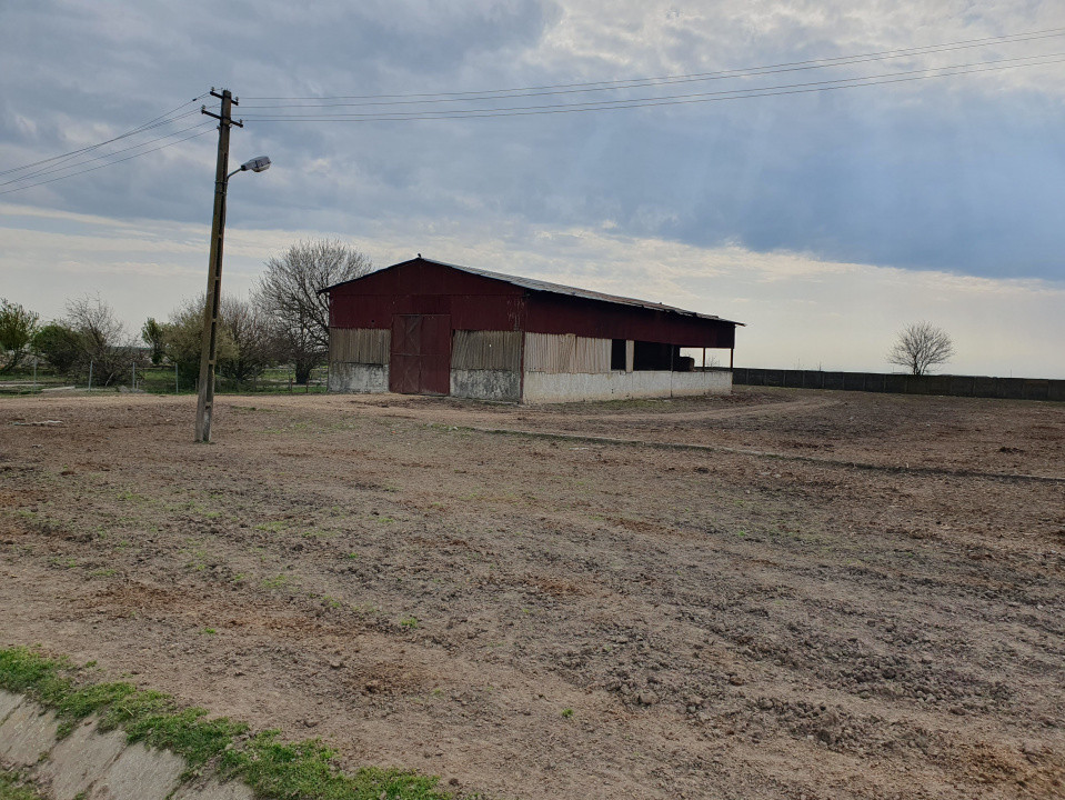 Teren intravilan cu suprafata de 58.340 mp, in Sanmartinul Sarbesc 27, foxfort.ro