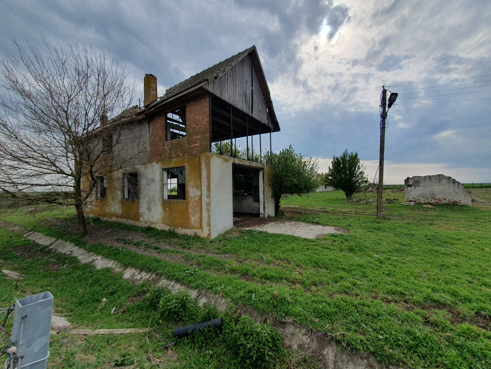 Teren intravilan cu suprafata de 58.340 mp, in Sanmartinul Sarbesc 28, foxfort.ro