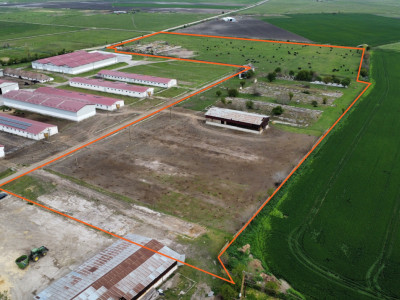 Teren intravilan cu suprafata de 58.340 mp, in Sanmartinul Sarbesc imagine mica 3, foxfort.ro