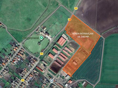 Teren intravilan cu suprafata de 58.340 mp, in Sanmartinul Sarbesc imagine mica 5, foxfort.ro