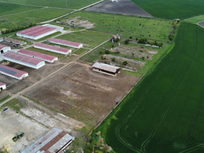 Teren intravilan cu suprafata de 58.340 mp, in Sanmartinul Sarbesc imagine mica 10, foxfort.ro