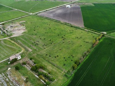 Teren intravilan cu suprafata de 58.340 mp, in Sanmartinul Sarbesc imagine mica 11, foxfort.ro