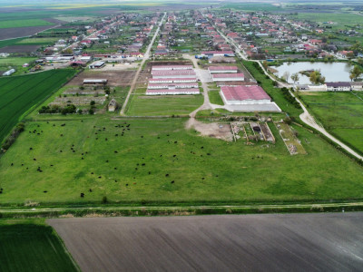 Teren intravilan cu suprafata de 58.340 mp, in Sanmartinul Sarbesc imagine mica 15, foxfort.ro