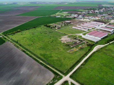 Teren intravilan cu suprafata de 58.340 mp, in Sanmartinul Sarbesc imagine mica 16, foxfort.ro