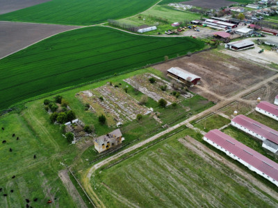 Teren intravilan cu suprafata de 58.340 mp, in Sanmartinul Sarbesc imagine mica 20, foxfort.ro