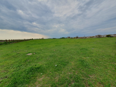 Teren intravilan cu suprafata de 58.340 mp, in Sanmartinul Sarbesc imagine mica 22, foxfort.ro