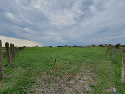 Teren intravilan cu suprafata de 58.340 mp, in Sanmartinul Sarbesc imagine mica 23, foxfort.ro