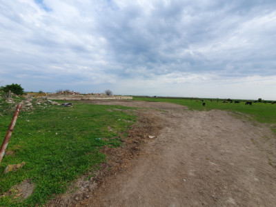 Teren intravilan cu suprafata de 58.340 mp, in Sanmartinul Sarbesc imagine mica 24, foxfort.ro