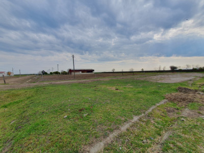 Teren intravilan cu suprafata de 58.340 mp, in Sanmartinul Sarbesc imagine mica 25, foxfort.ro