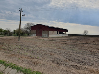 Teren intravilan cu suprafata de 58.340 mp, in Sanmartinul Sarbesc imagine mica 27, foxfort.ro