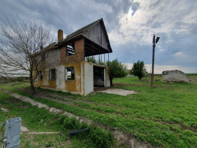 Teren intravilan cu suprafata de 58.340 mp, in Sanmartinul Sarbesc imagine mica 28, foxfort.ro