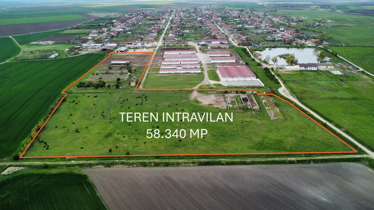 Teren intravilan cu suprafata de 58.340 mp, in Sanmartinul Sarbesc 1, foxfort.ro