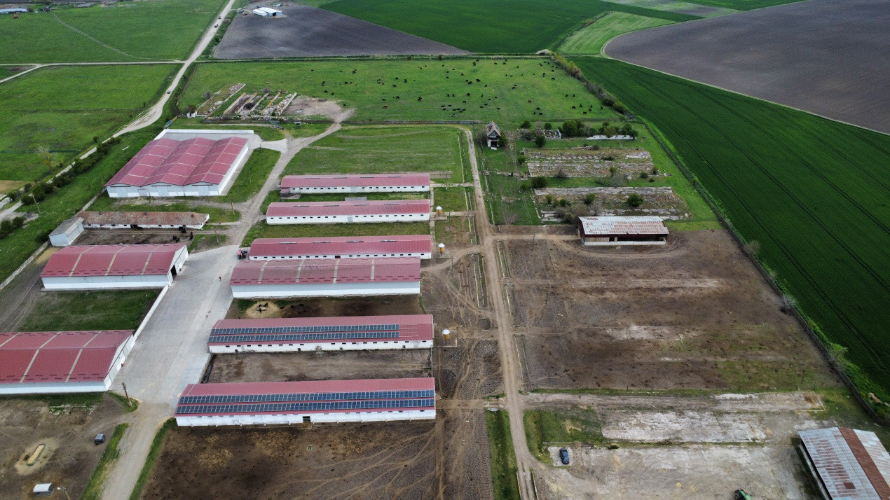 Teren intravilan cu suprafata de 58.340 mp, in Sanmartinul Sarbesc 6, foxfort.ro