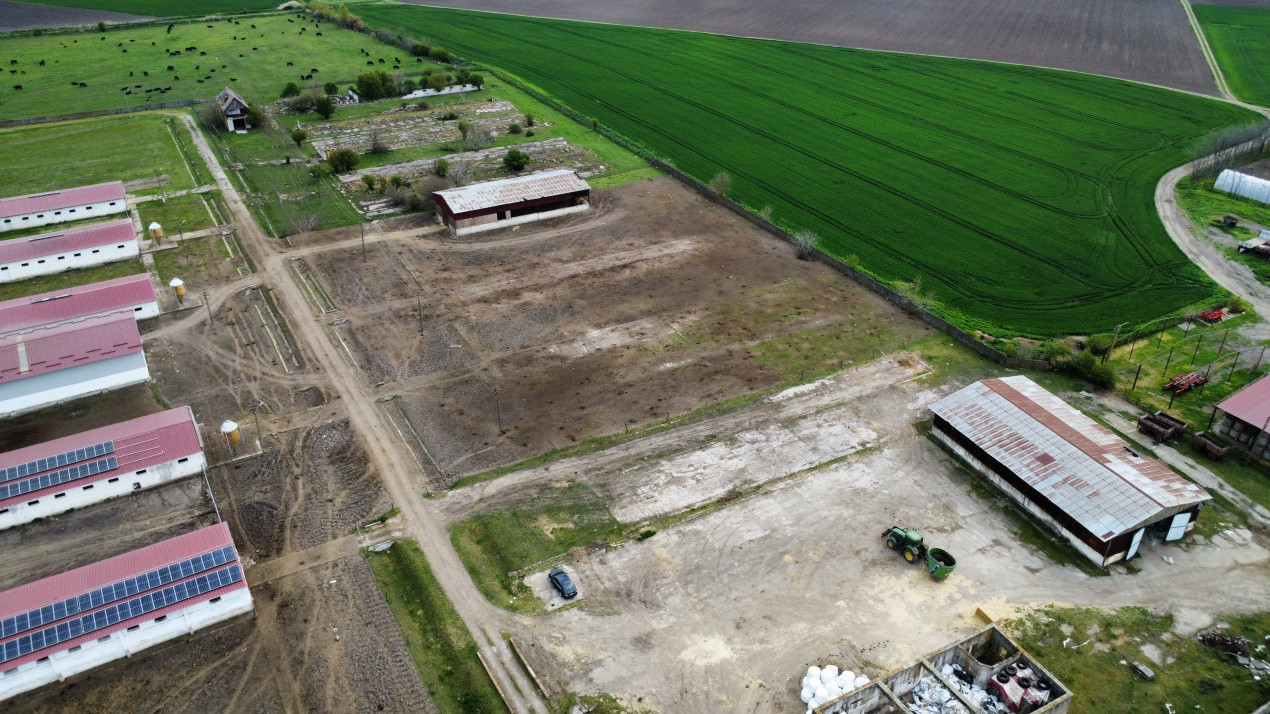 Teren intravilan cu suprafata de 58.340 mp, in Sanmartinul Sarbesc 7, foxfort.ro