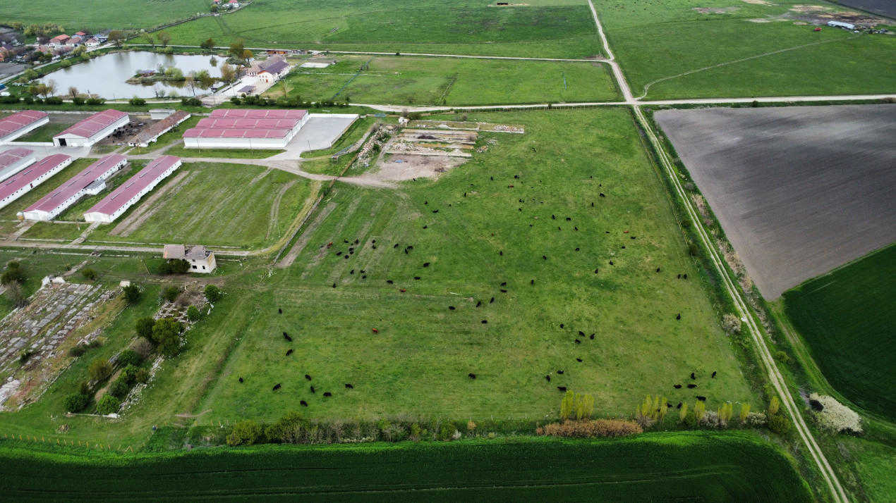 Teren intravilan cu suprafata de 58.340 mp, in Sanmartinul Sarbesc 14, foxfort.ro