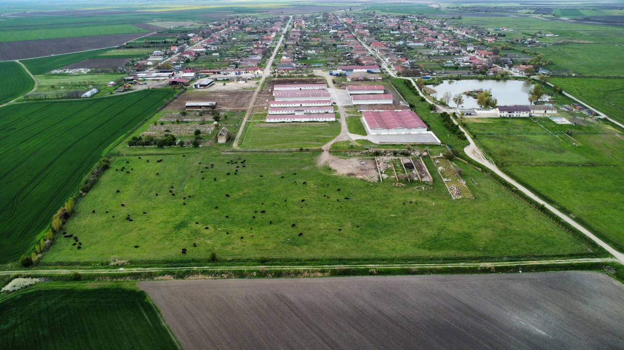 Teren intravilan cu suprafata de 58.340 mp, in Sanmartinul Sarbesc 15, foxfort.ro