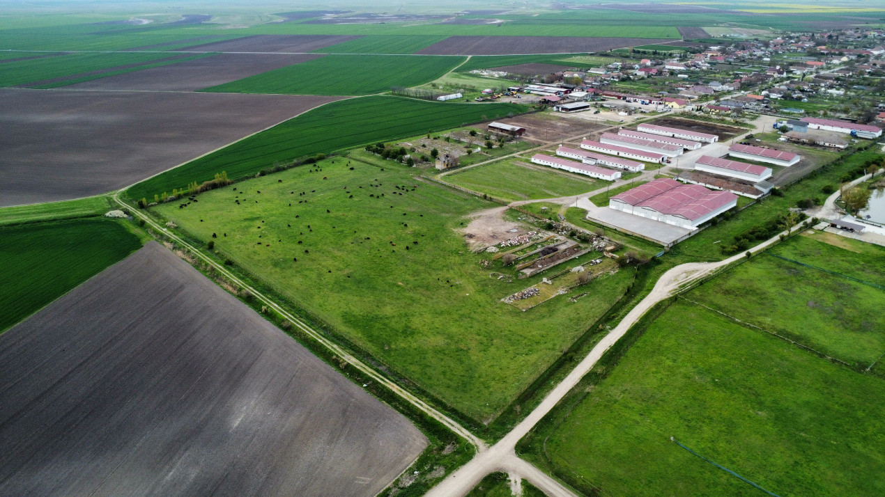 Teren intravilan cu suprafata de 58.340 mp, in Sanmartinul Sarbesc 16, foxfort.ro