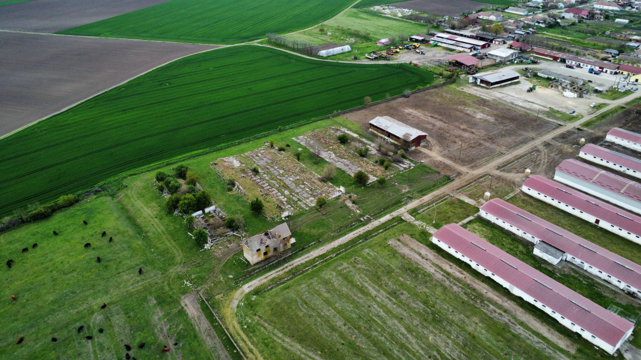 Teren intravilan cu suprafata de 58.340 mp, in Sanmartinul Sarbesc 20, foxfort.ro
