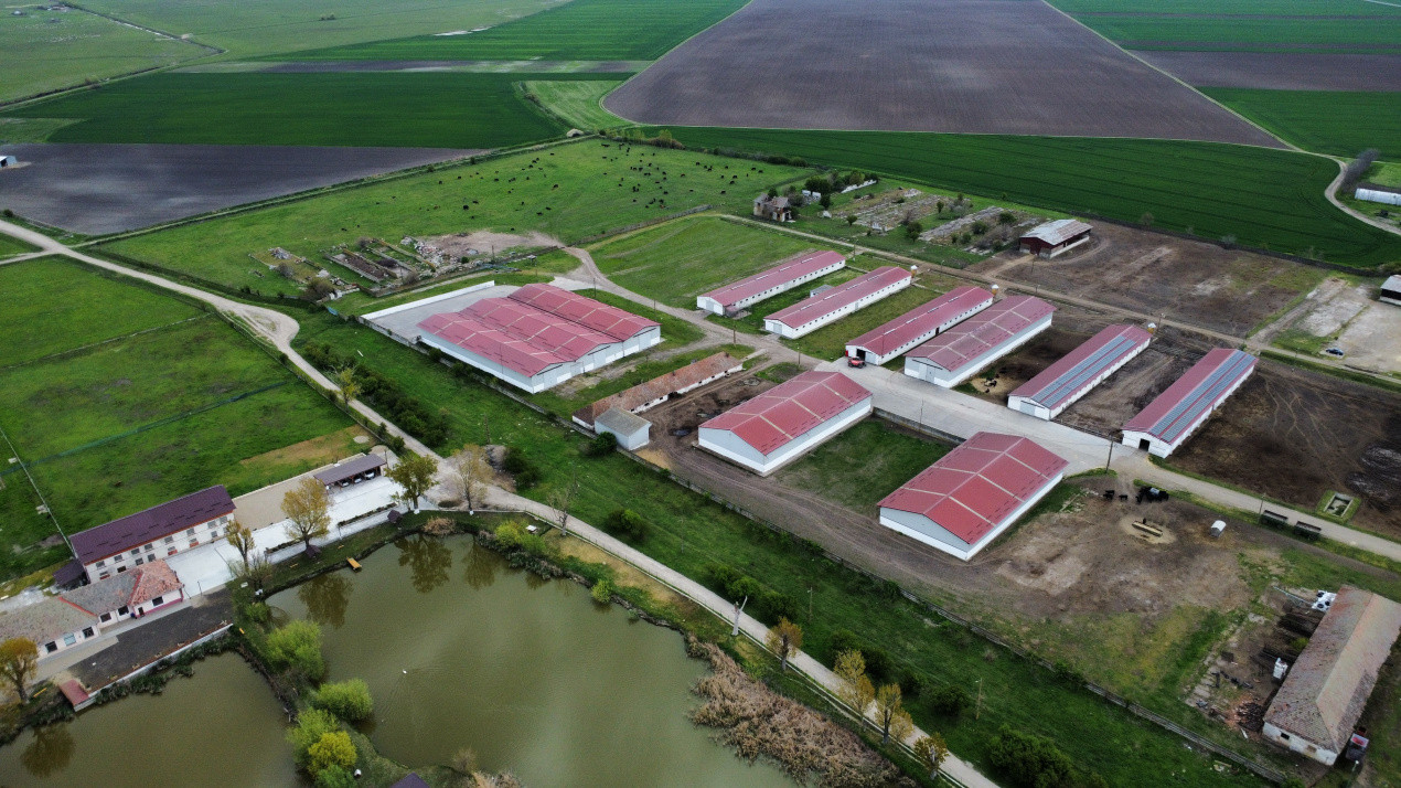 Teren intravilan cu suprafata de 58.340 mp, in Sanmartinul Sarbesc 21, foxfort.ro