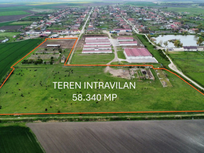 Teren intravilan cu suprafata de 58.340 mp, in Sanmartinul Sarbesc