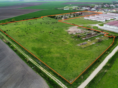 Teren intravilan cu suprafata de 58.340 mp, in Sanmartinul Sarbesc imagine mica 2, foxfort.ro