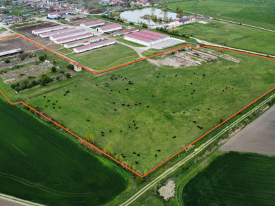 Teren intravilan cu suprafata de 58.340 mp, in Sanmartinul Sarbesc imagine mica 4, foxfort.ro