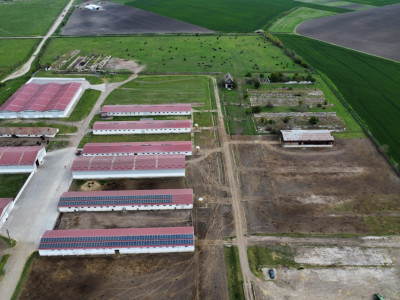 Teren intravilan cu suprafata de 58.340 mp, in Sanmartinul Sarbesc imagine mica 6, foxfort.ro