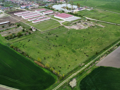 Teren intravilan cu suprafata de 58.340 mp, in Sanmartinul Sarbesc imagine mica 13, foxfort.ro