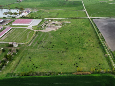 Teren intravilan cu suprafata de 58.340 mp, in Sanmartinul Sarbesc imagine mica 14, foxfort.ro