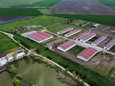 Teren intravilan cu suprafata de 58.340 mp, in Sanmartinul Sarbesc imagine mica 21, foxfort.ro