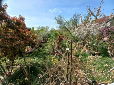 Casa individuala | 5 camere | Teren generos 805 mp | Giarmata Vii imagine mica 7, foxfort.ro