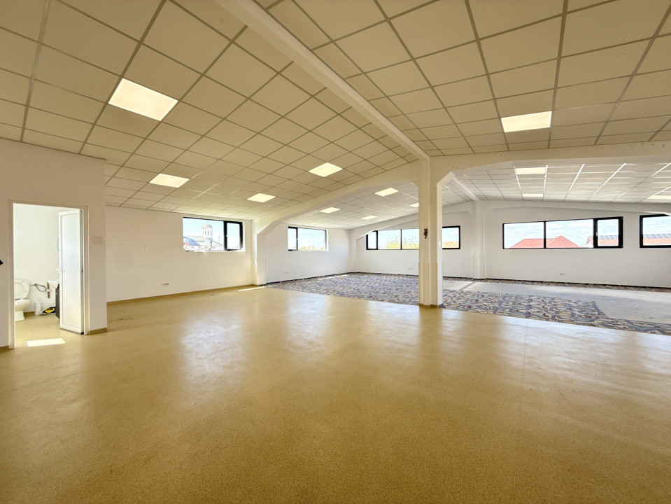 Spatiu pentru birouri/activitati – 190 mp in Sacalaz - Curte privata 6, foxfort.ro