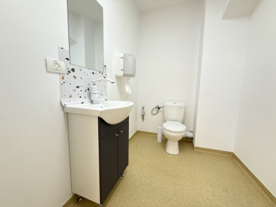 Spatiu pentru birouri/activitati – 190 mp in Sacalaz - Curte privata imagine mica 3, foxfort.ro