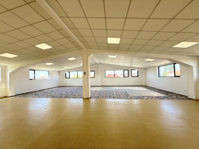 Spatiu pentru birouri/activitati – 190 mp in Sacalaz - Curte privata imagine mica 5, foxfort.ro