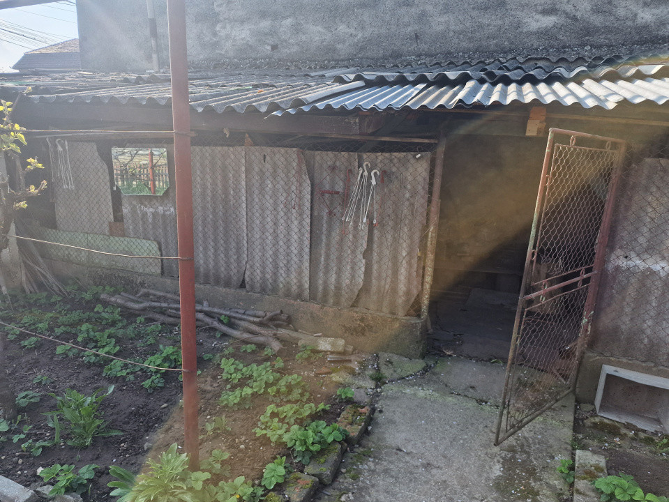 Casa individuala de vanzare cu 4 camere si teren de 800 mp - Recas 21, foxfort.ro